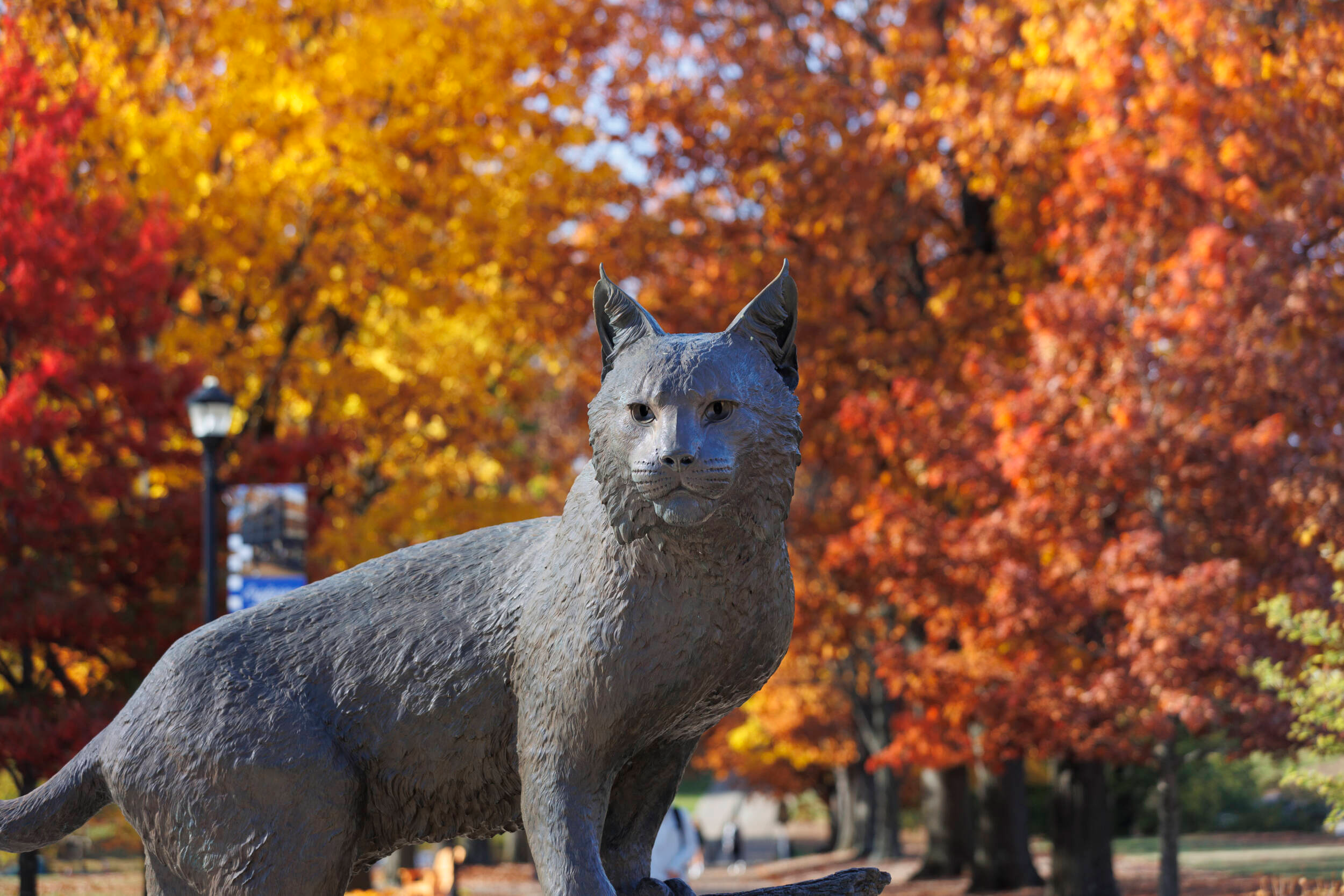 80 UK Student-Athletes on 2025 Fall SEC Academic Honor Roll