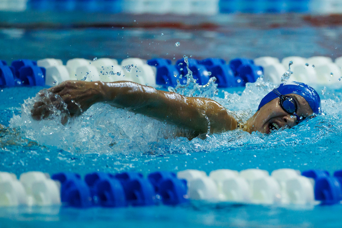 Blue-White Swimming & Diving Photo Gallery