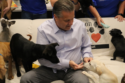 Coach Cal meeting some of the dogs from the Lexington Humane Society on Thursday, June 28, 2018, at the Joe Craft Center in Lexington, KY.

Photos by Noah J. Richter | UKAthletics