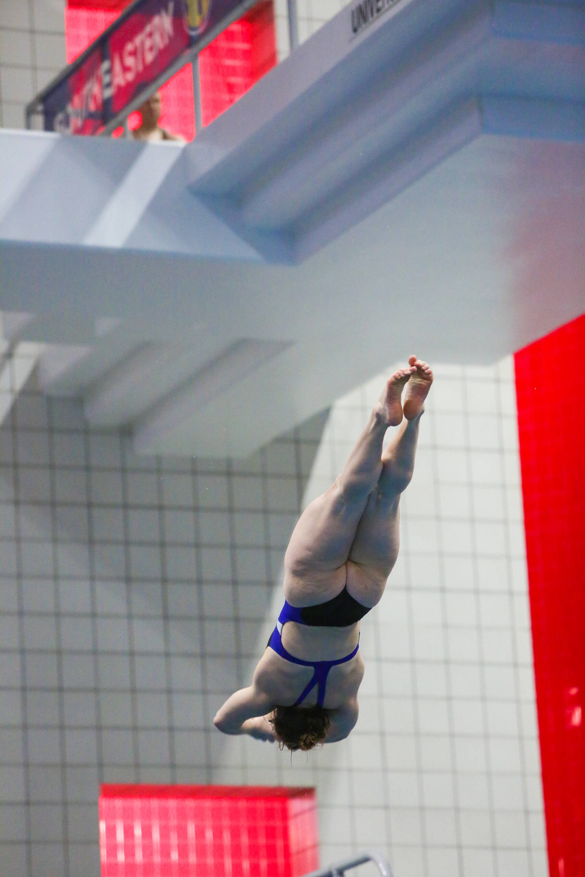 2019 SEC Swimming & Diving Championships