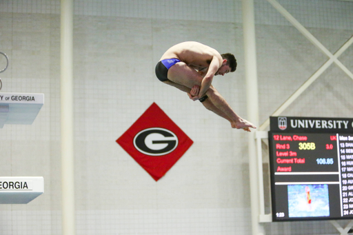 2019 SEC Swimming and Diving Championships