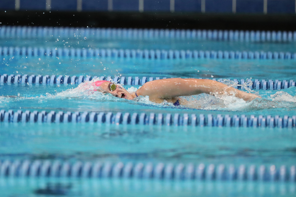 UK Swimming & Diving in action against LSU on Tuesday, October 23rd, 2018 at the Lancaster Aquatic Center in Lexington, Ky.

Photos by Noah J. Richter | UK Athletics