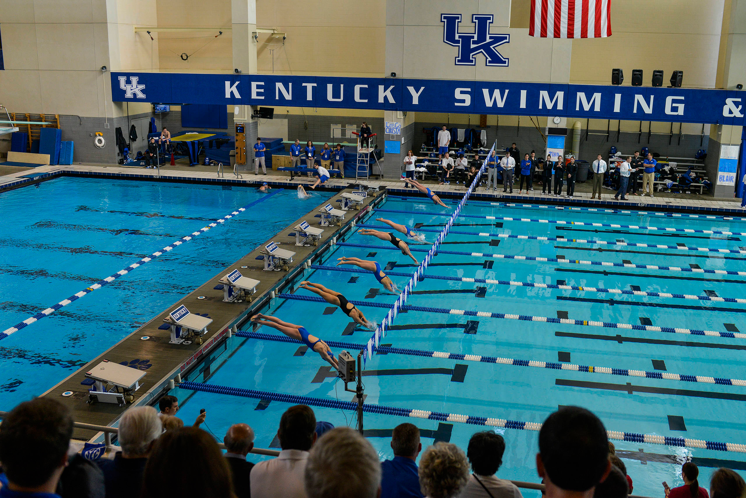 Kentucky Sends 12 Swimmers, Two Divers to USA Nationals