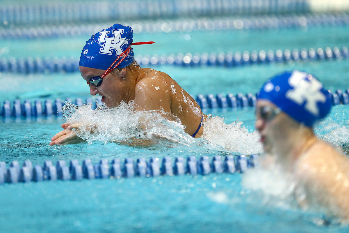 Kentucky Swim and Dive Blue and White meet.

Photo by Grace Bradley | UK Athletics