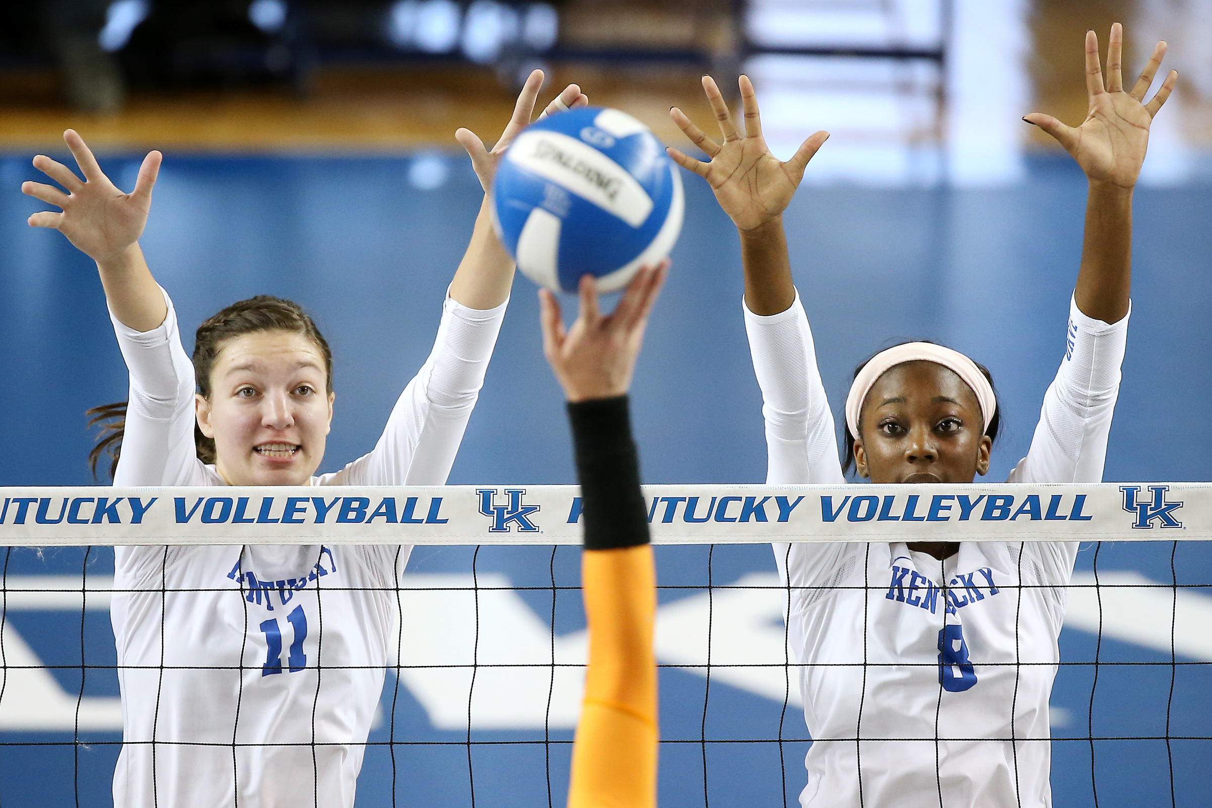 Kentucky-Tennessee Volleyball Photo Gallery