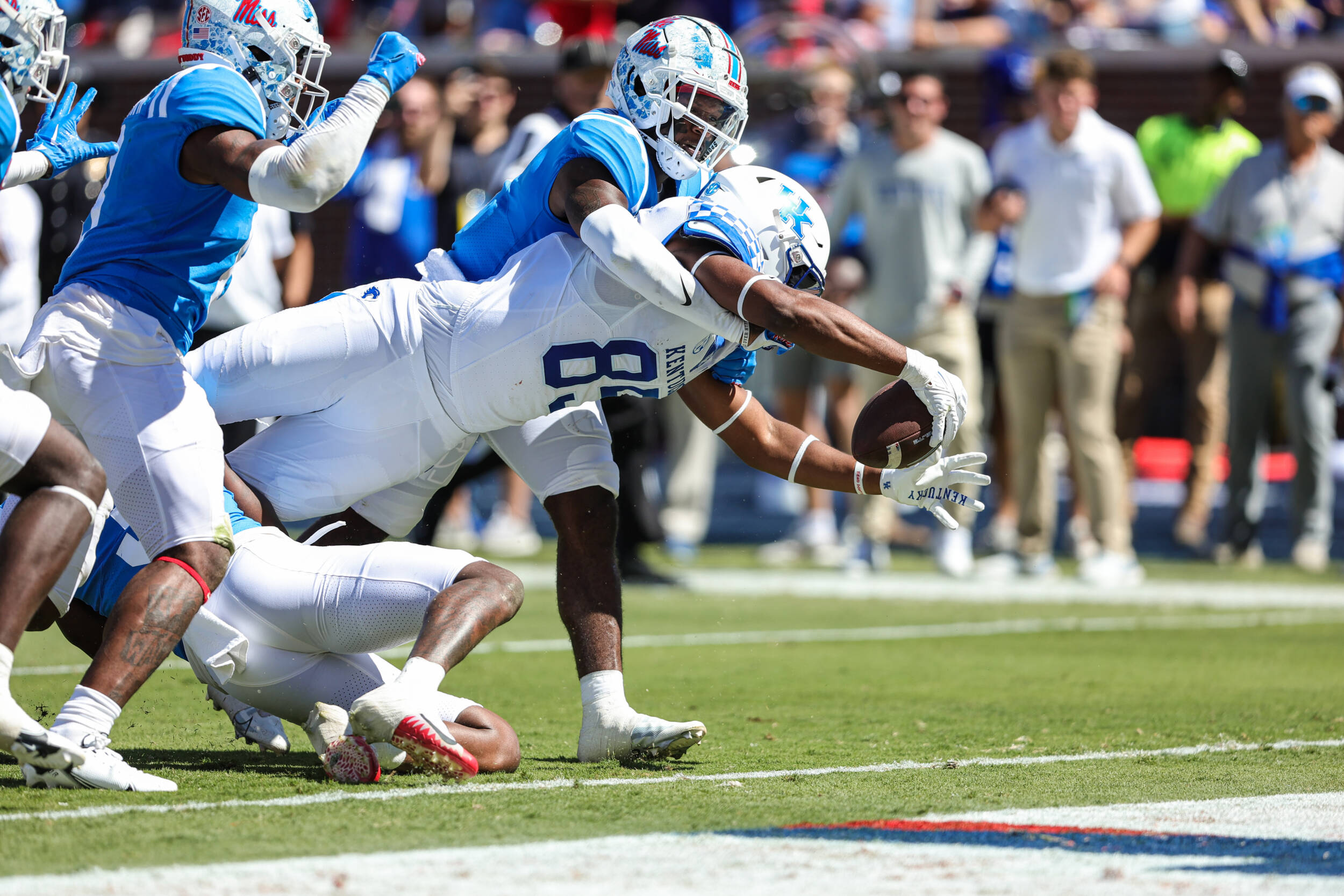 Cats Focused on Getting Better, Getting Healthy