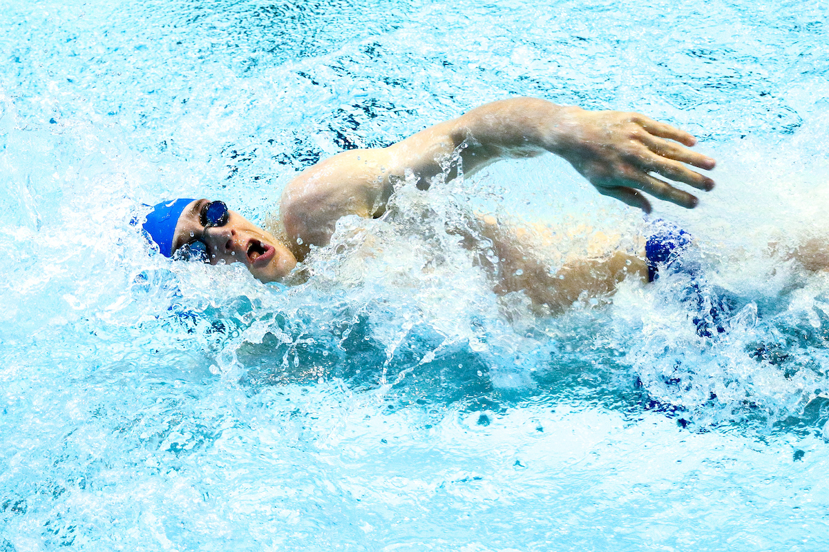 .

Kentucky Swim and Dive Blue and White meet.

Photo by Eddie Justice | UK Athletics