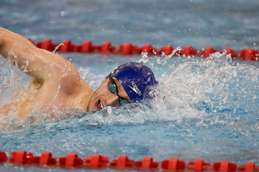 Kentucky Swim & Dive vs. Louisville.

Photo by Hannah Phillips | UK Athletics