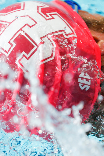 Kentucky Swim & Dive vs. South Carolina & Ohio.

Photo by Isaac Janssen | UK Athletics