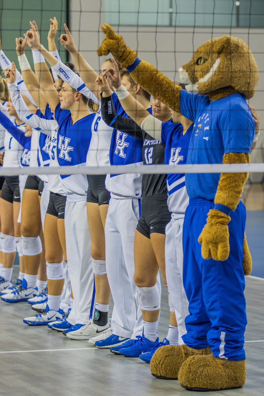 Wildcat. 

Kentucky beats Mizzou 3-0. 

Photo by Grant Lee | UK Athletics
