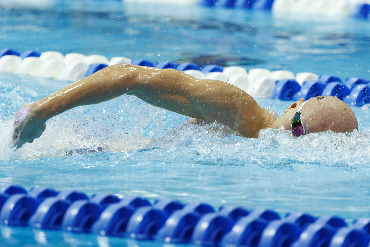 A picture of a Kentucky men's swimmer in the pool