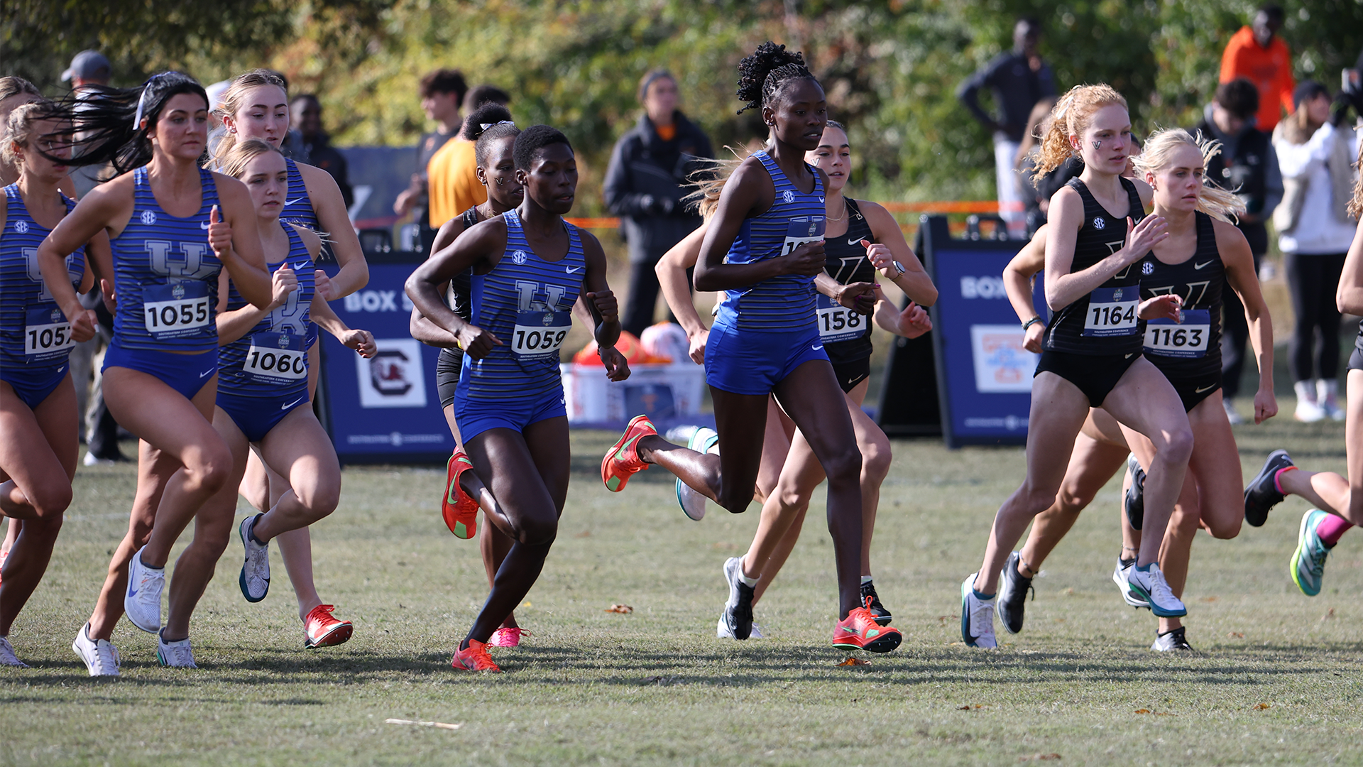 Five Wildcats Named to 2025 All-SEC Cross Country Teams