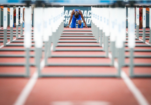 Daniel Roberts.

2019 NCAA Track and Field Championships.

Photo by Chet White | UK Athletics