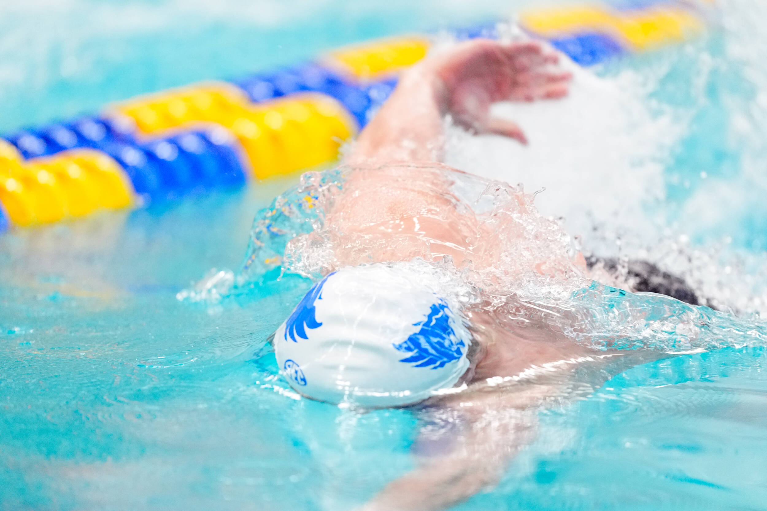 500 Free Wildcats Highlight the Fifth Day of the SEC Championship