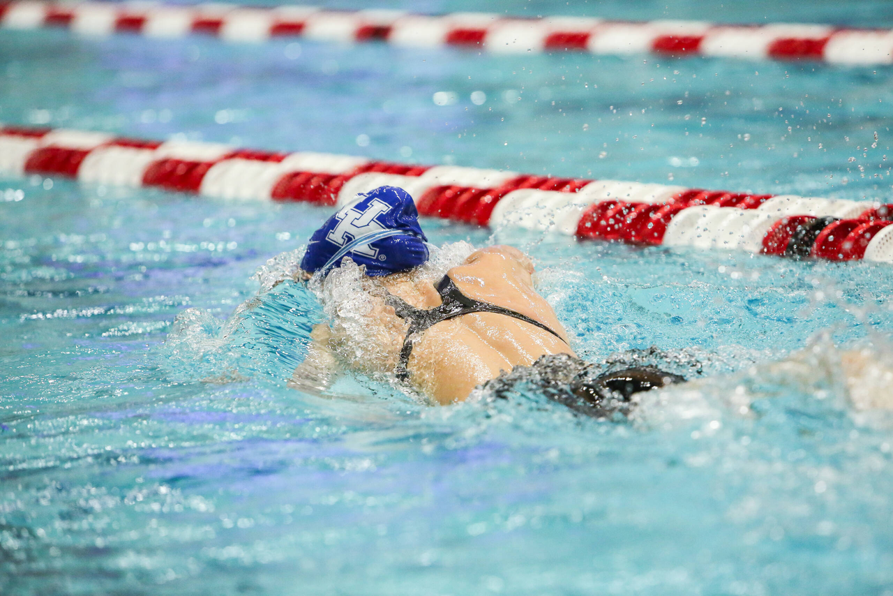 2019 SEC Swimming and Diving Championships