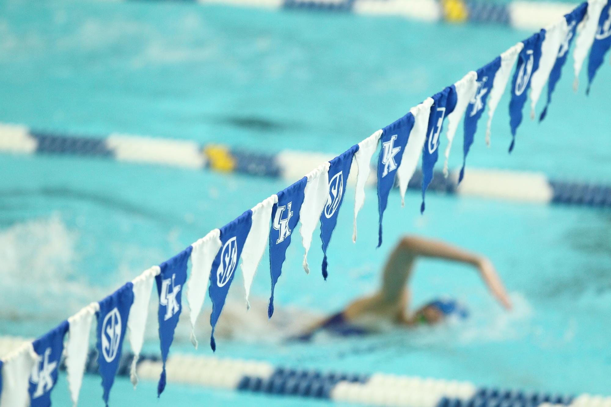 Kentucky Swimming and Diving Announces 2018-19 Schedule