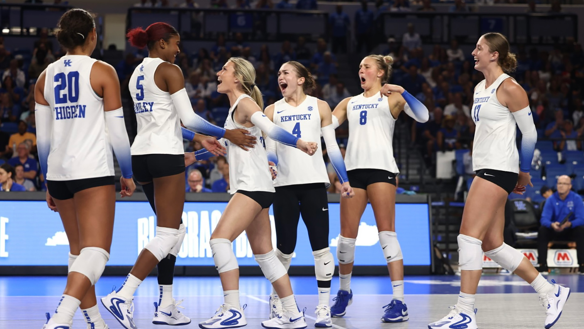 Cats Thrive in Renovated Historic Memorial Coliseum