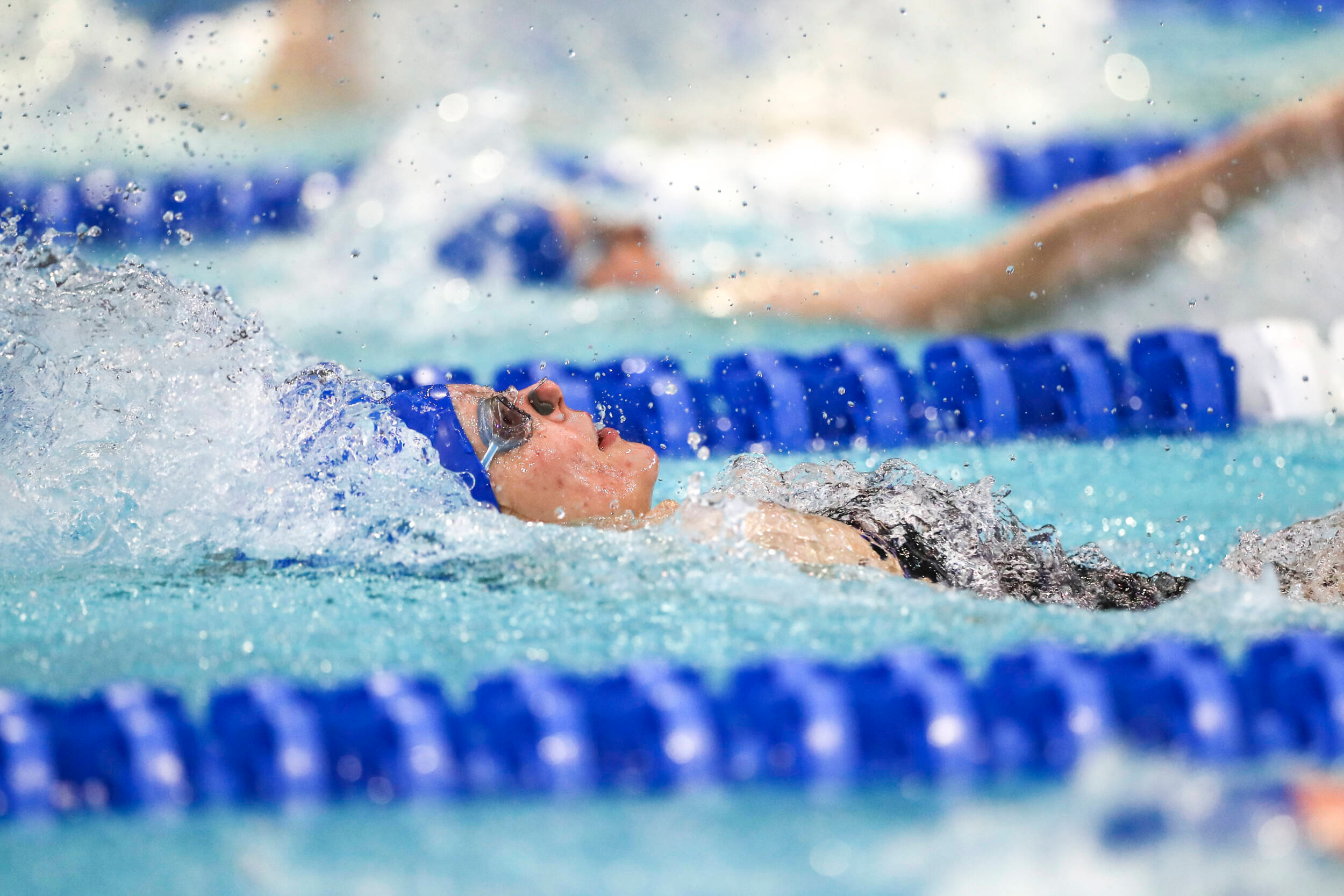 Kentucky Swimmers Earn 11 Wins at Ohio St. First Chance