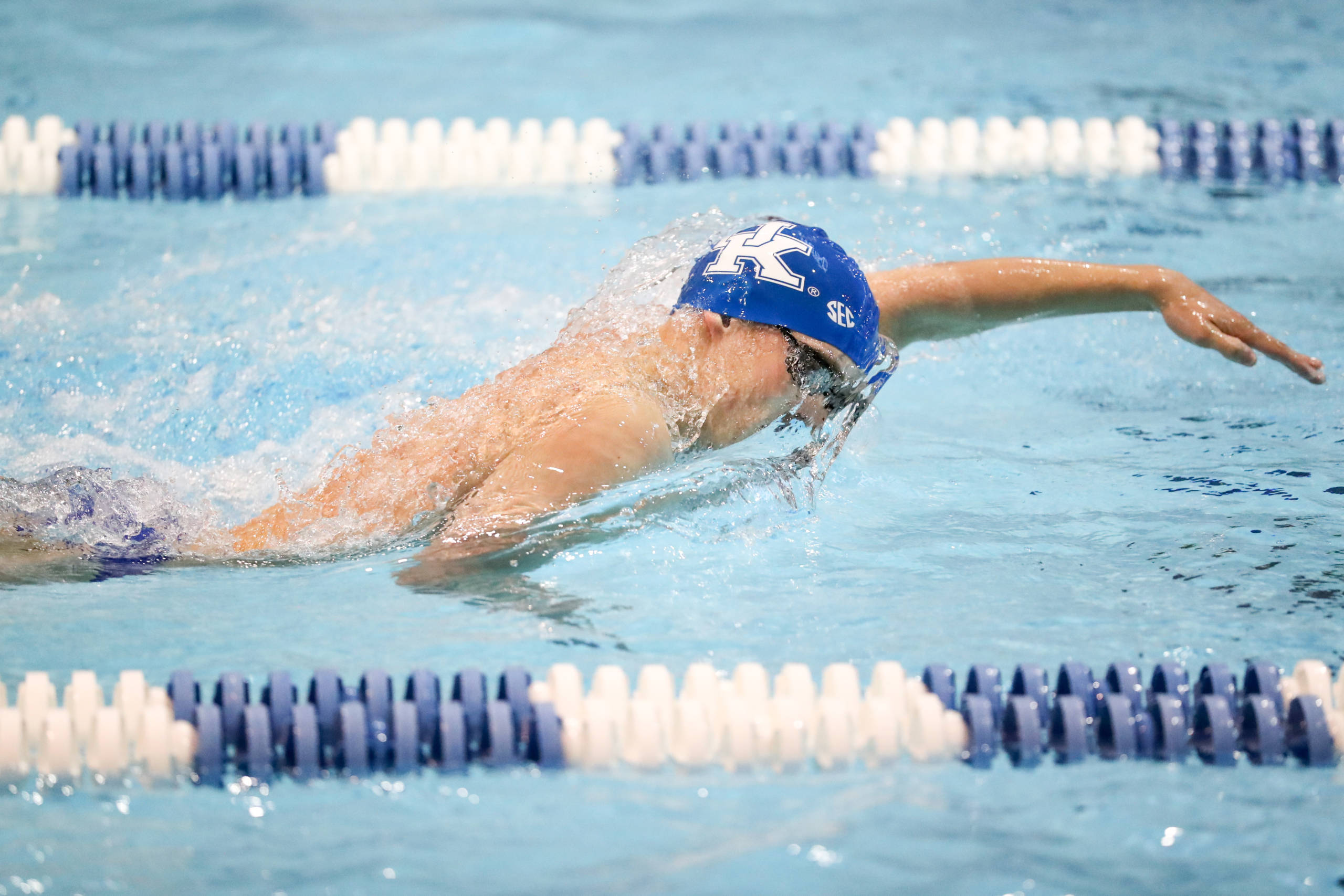 Wildcats Lead the Way in Day One of Virginia Tech Tri Meet