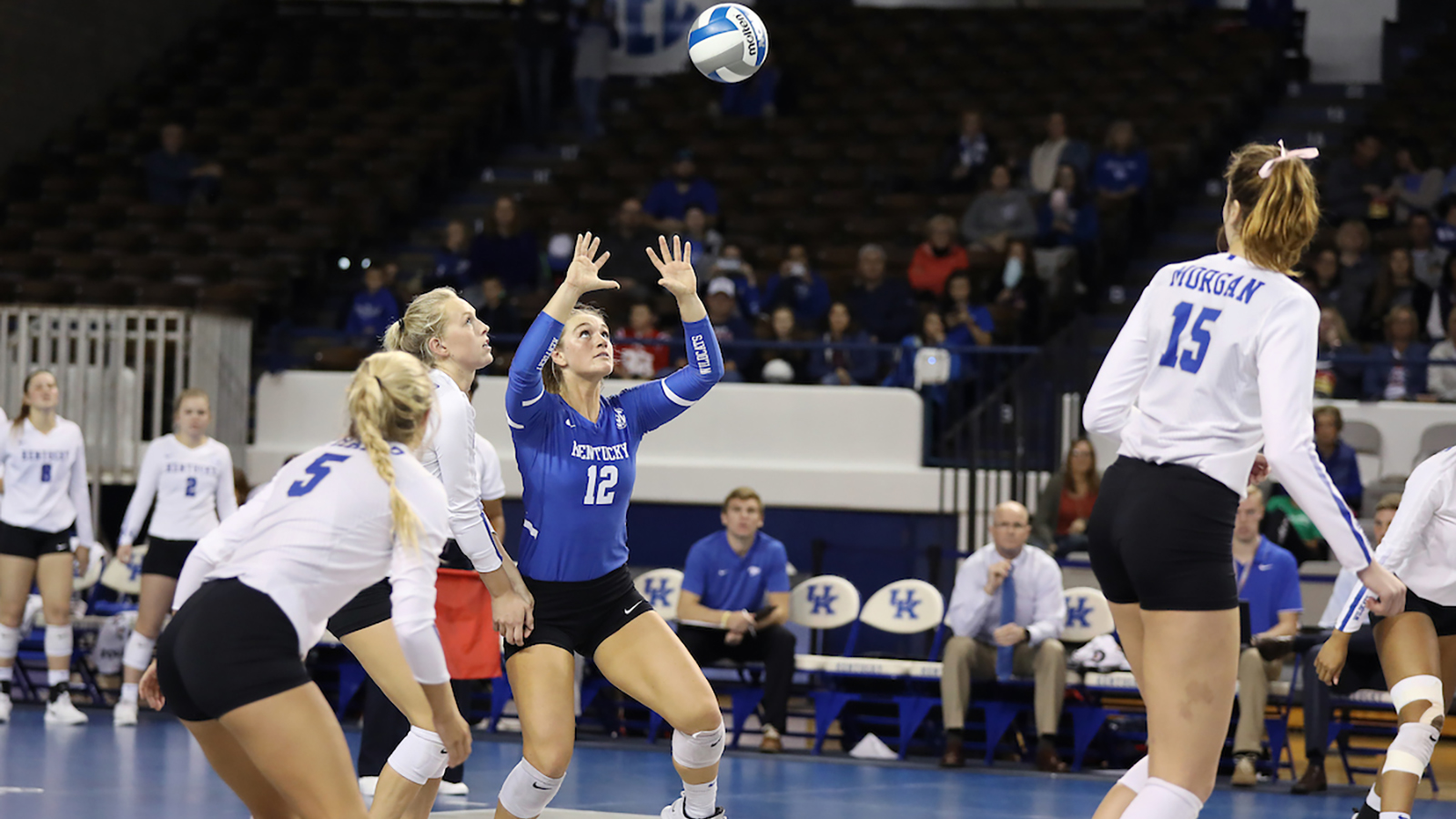 Curry Leading, Excelling for Volleyball Cats