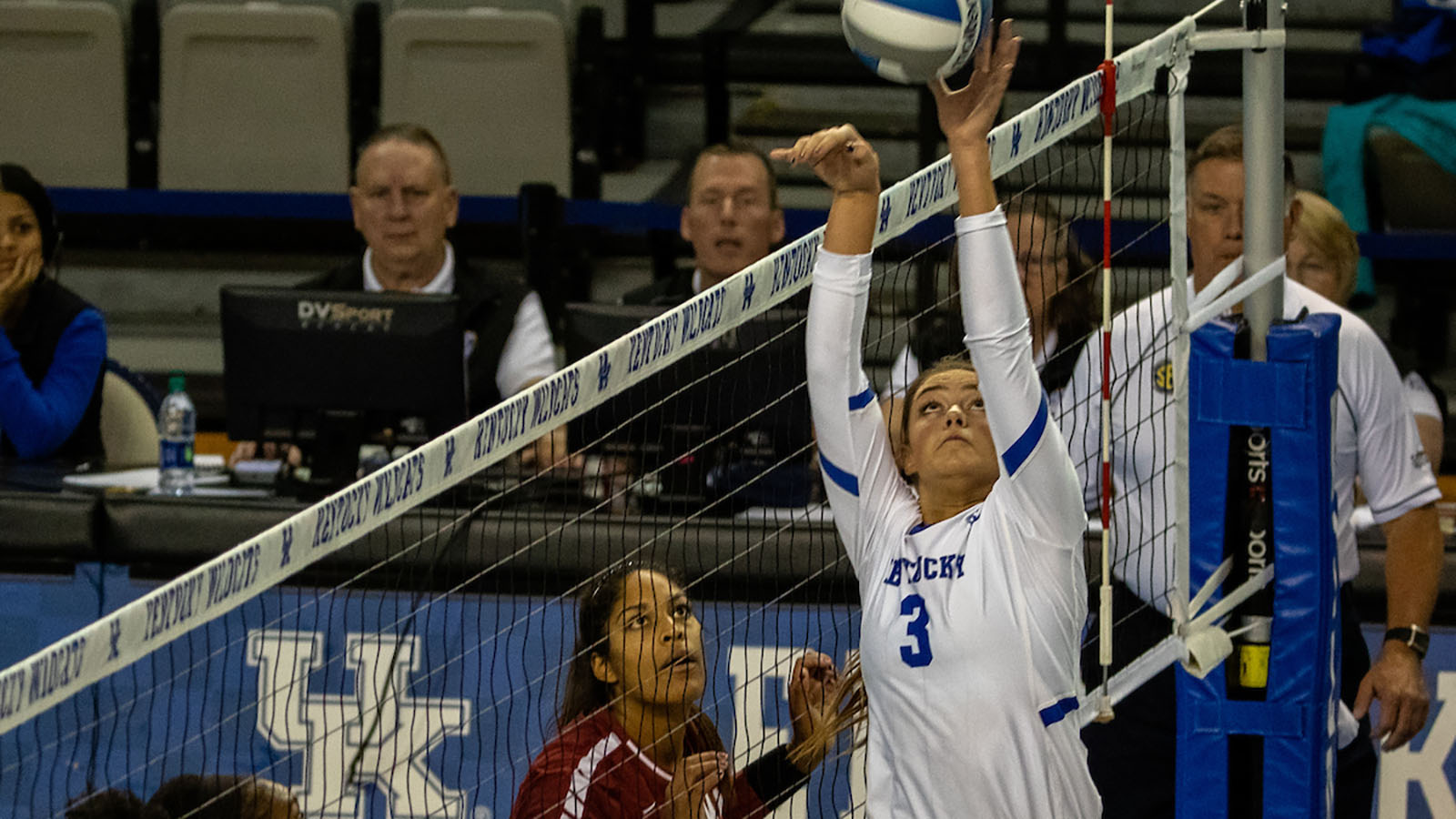 Volleyball Cats Showing Poise, Focus in Season's Final Stretch