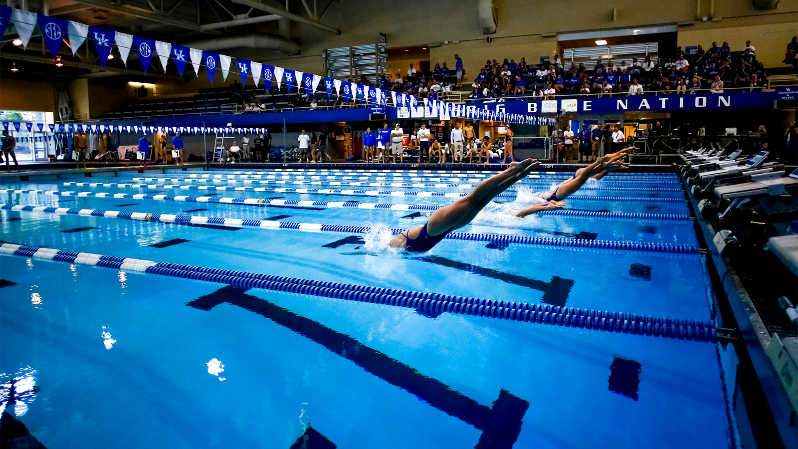 Kentucky Elite Summer Swim Camps