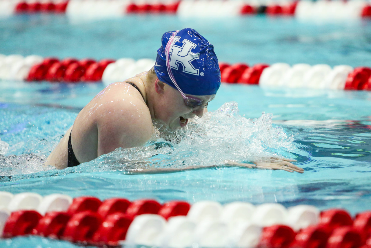 2019 SEC Swimming and Diving Championships