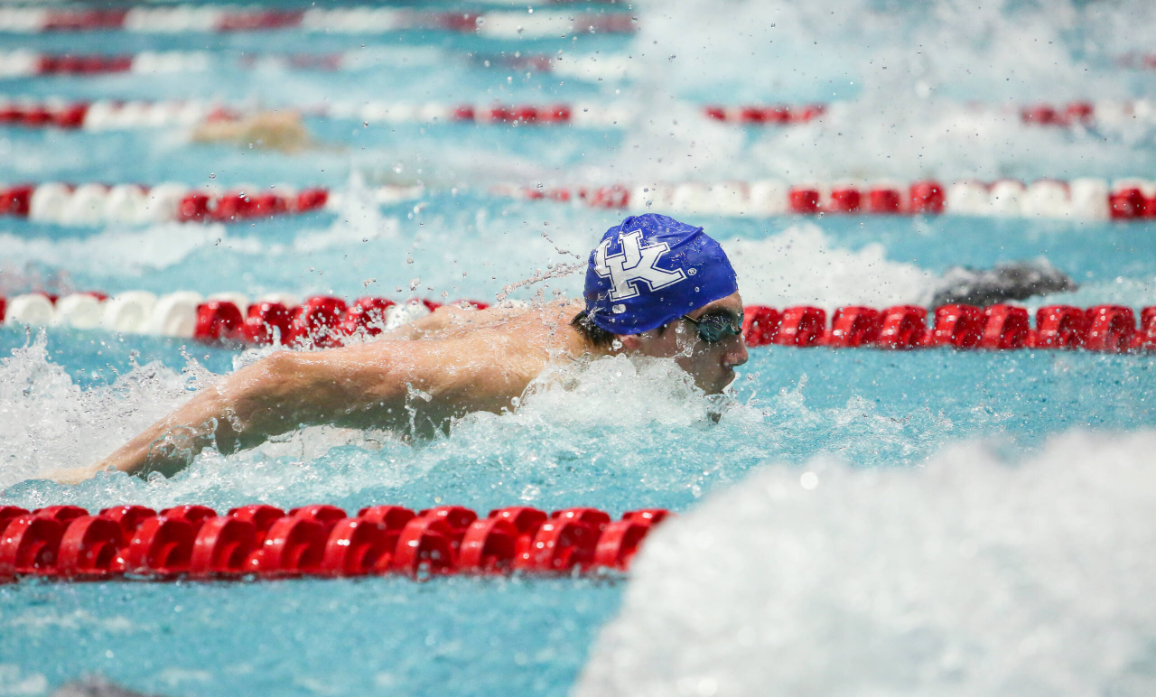 2019 SEC Swimming and Diving Championships