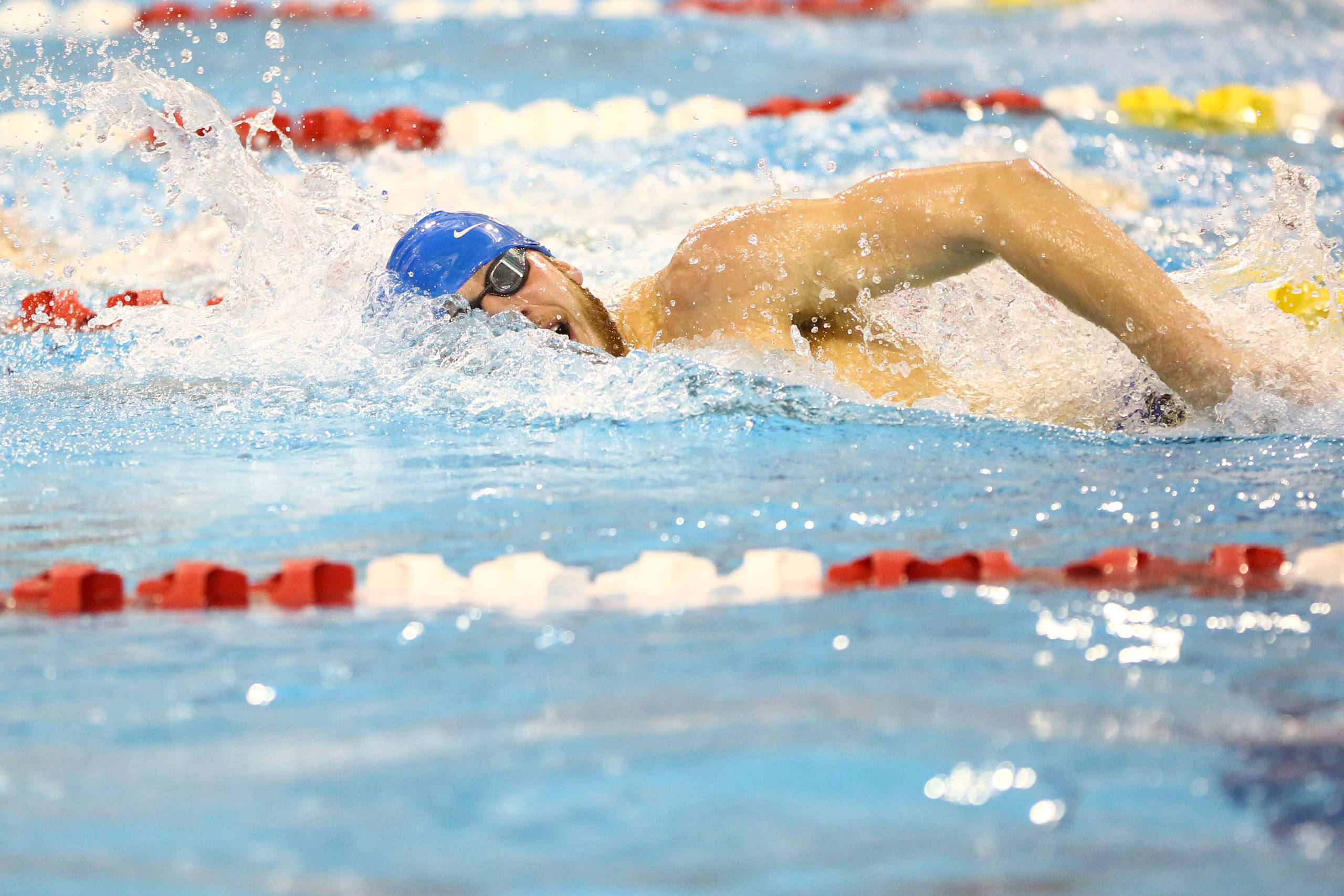 Wildcats Post Multiple Dual Season Bests in Setback to Ohio State