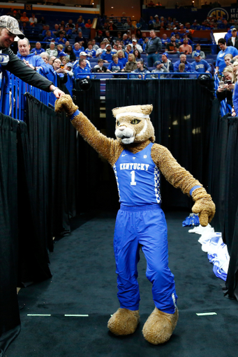 Wildcat.

The University of Kentucky men's basketball team beat Tennessee 77-72 to claim the 2018 SEC Men's Basketball Tournament championship at Scottrade Center in St. Louis, Mo., on Sunday, March 11, 2018.

Photo by Chet White | UK Athletics