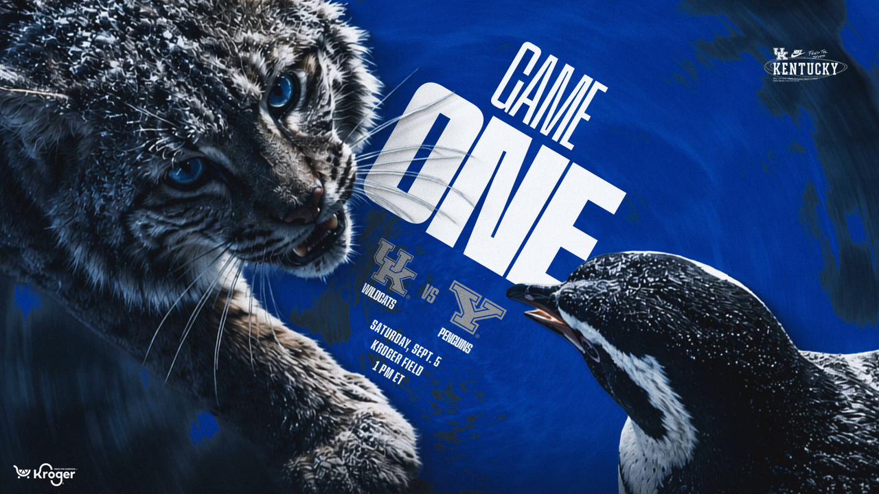 A graphic featuring a wildcat and a penguin with game information