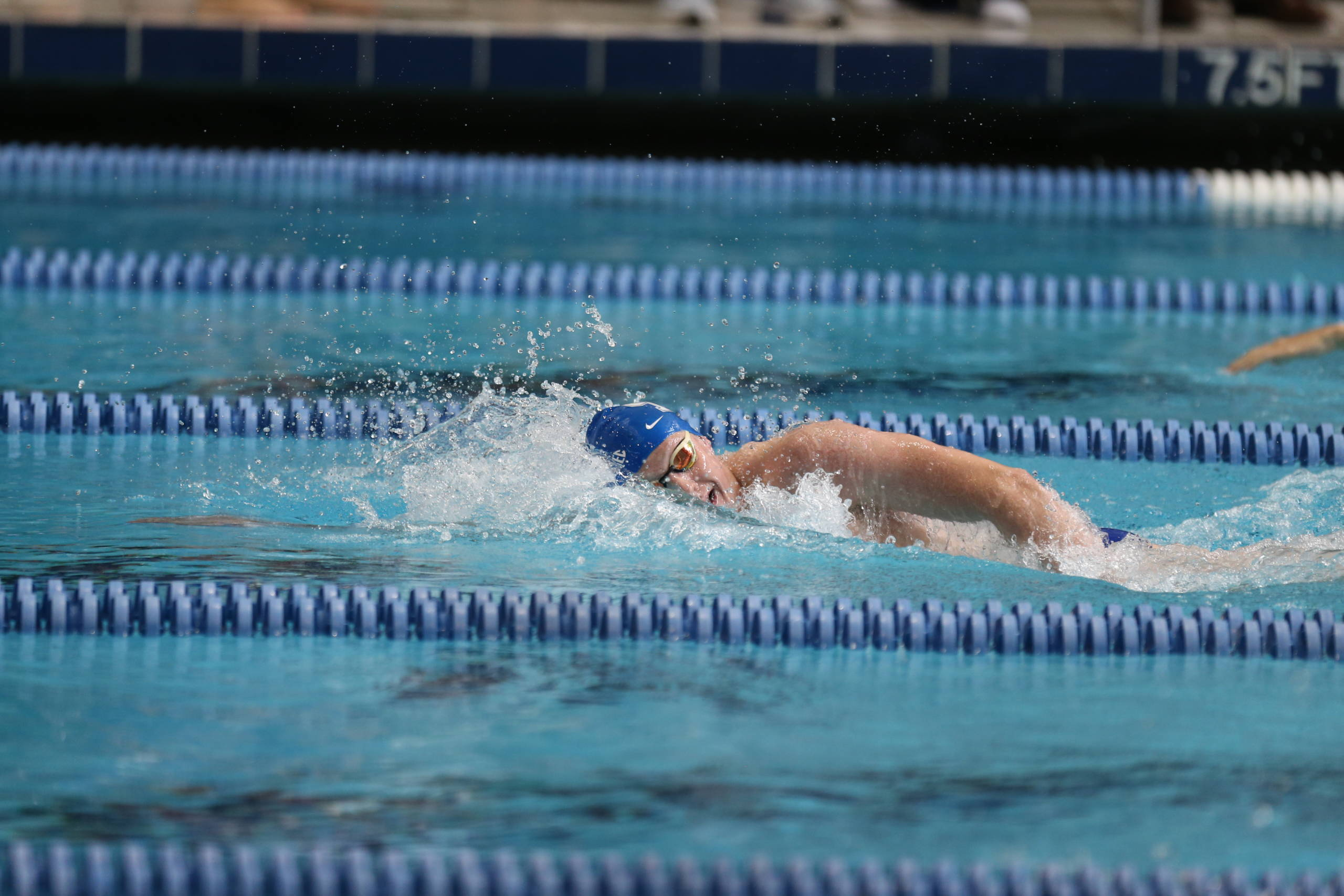 Kentucky Completes Weekend at Ohio State Winter Invite
