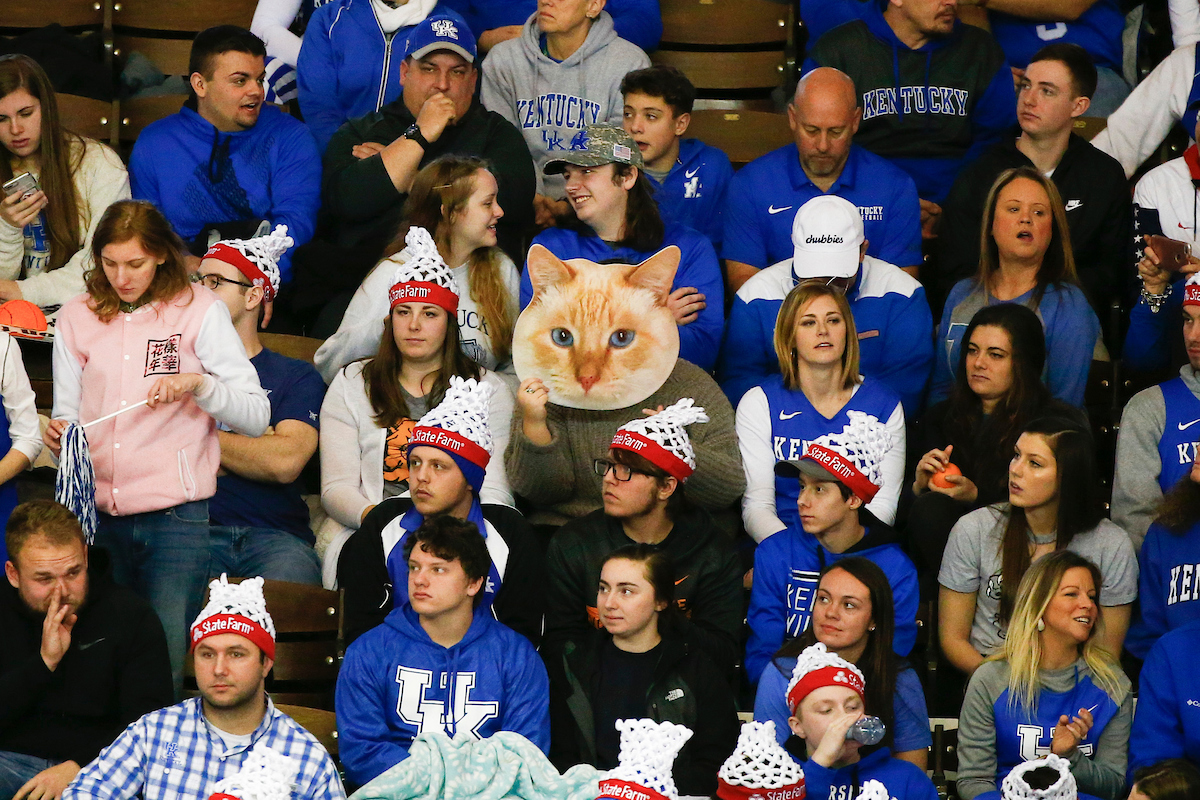College Game Day.

Photo by Chet White | UK Athletics