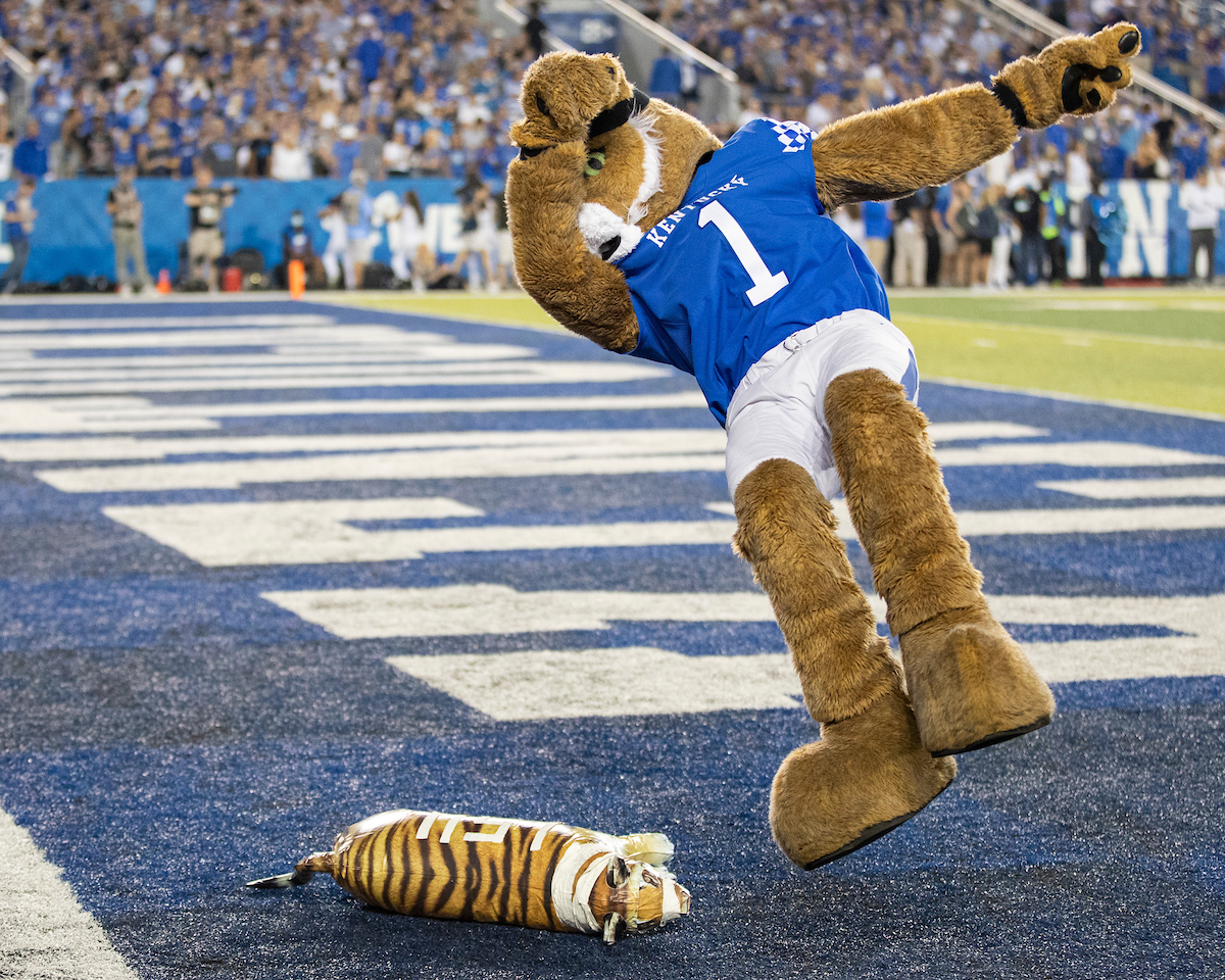 Wildcat.

UK beat LSU 42-21.

Photo by Grant Lee | UK Athletics