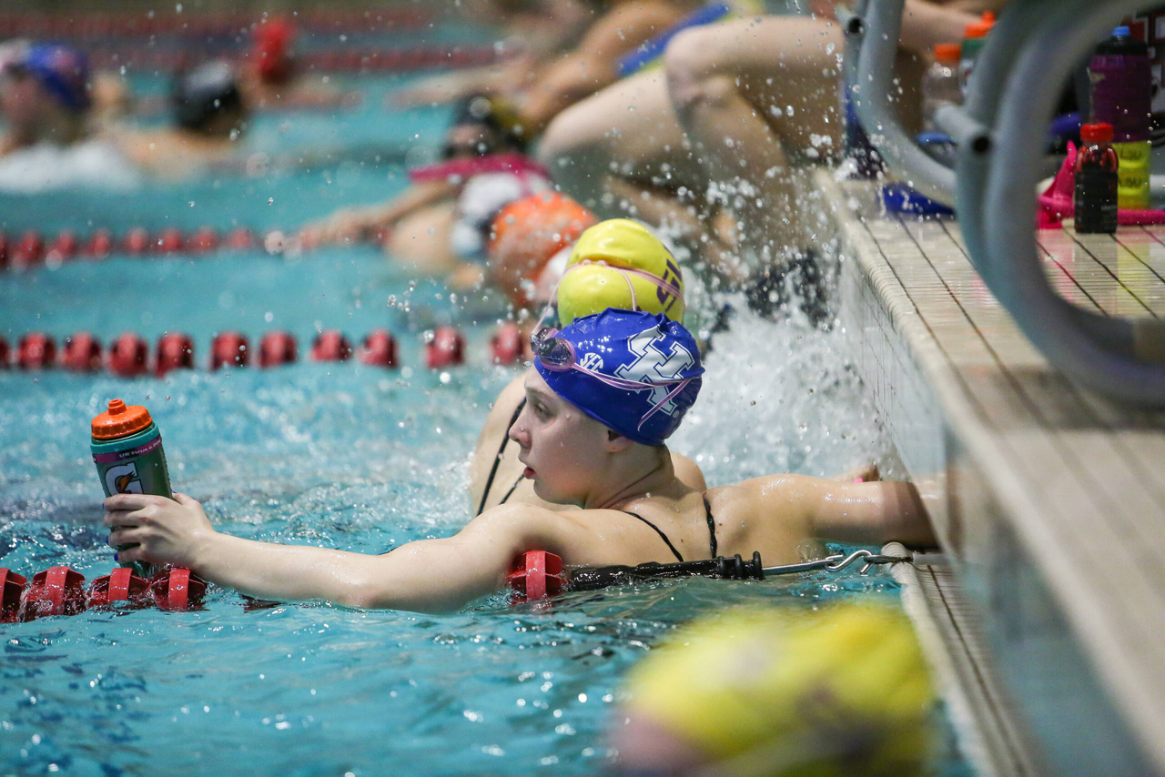 2019 SEC Swimming and Diving Championships