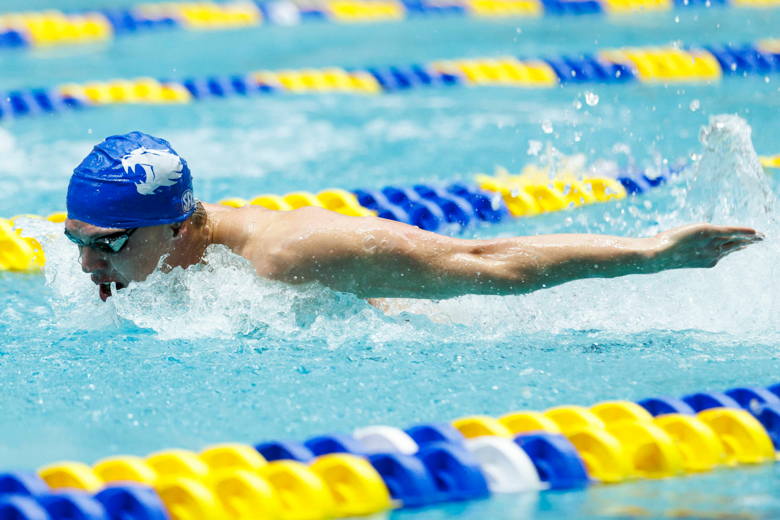 Four Men to Represent Kentucky at NCAA Swimming & Diving Championship