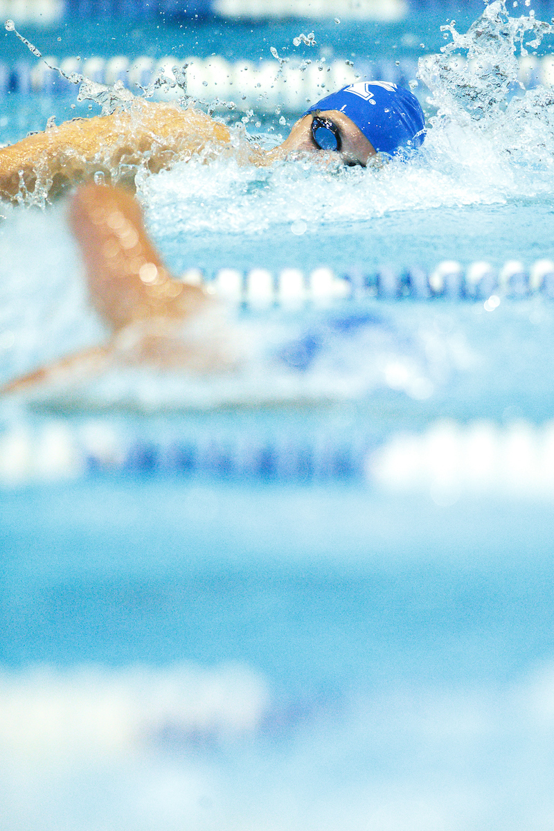 .

Kentucky Swim and Dive Blue and White meet.

Photo by Eddie Justice | UK Athletics