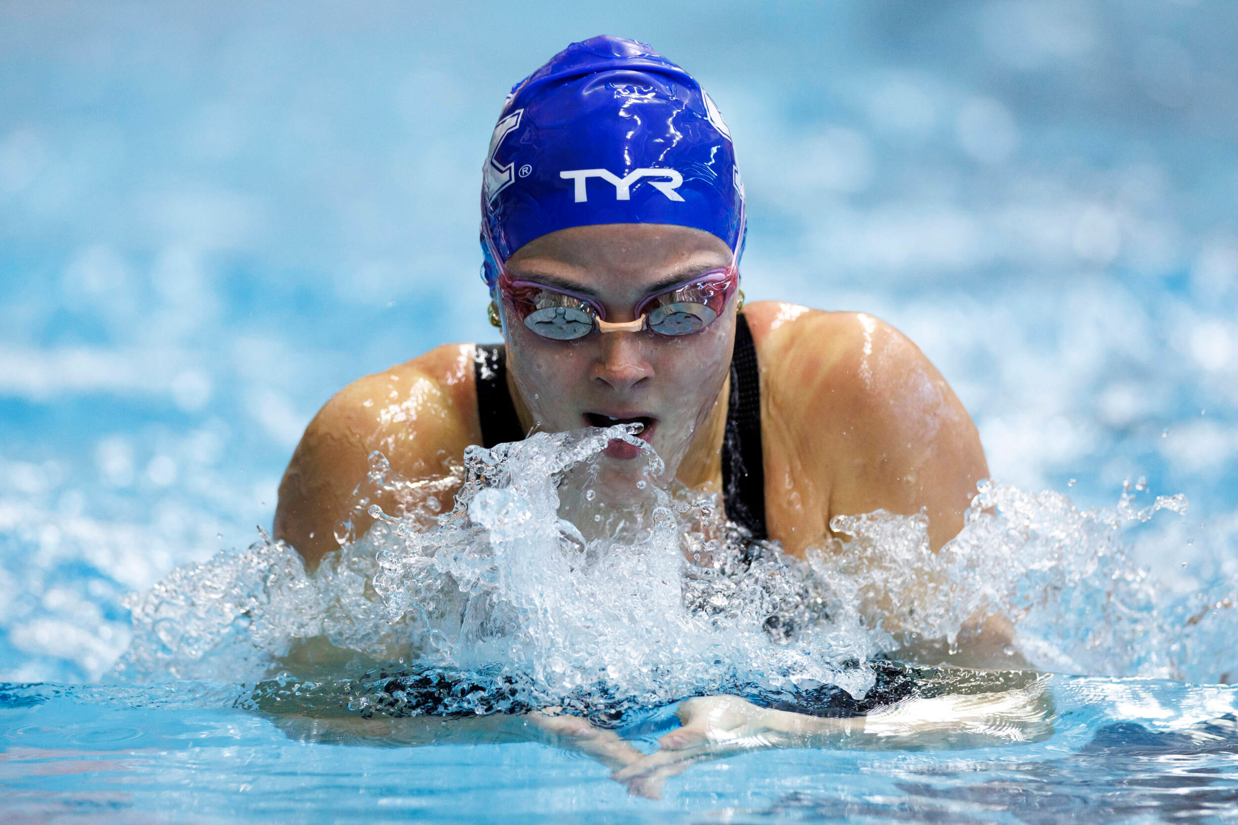 Swim & Dive Wildcats Fall to the Volunteers