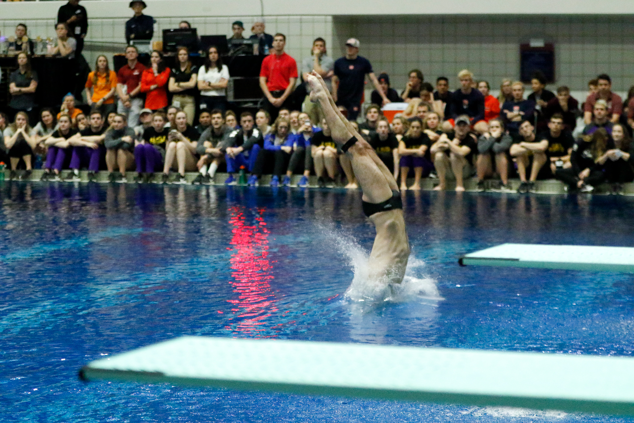 Photos from the afternoon portion of the final day of the 2019 SEC Swimming and Diving Championships in the Gabrielsen Natatorium at the University of Georgia in Athens, Ga., on Saturday, Feb. 23, 2019. (Casey Sykes)