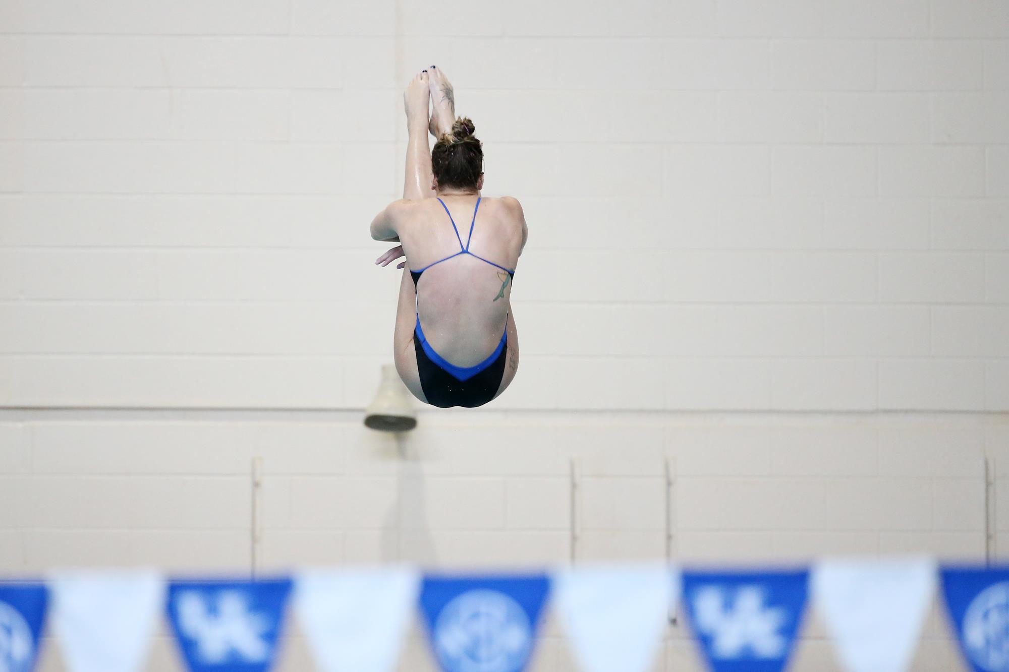 Hamperian Earns Silver on 3-Meter as Cats Wrap U.S. Nationals