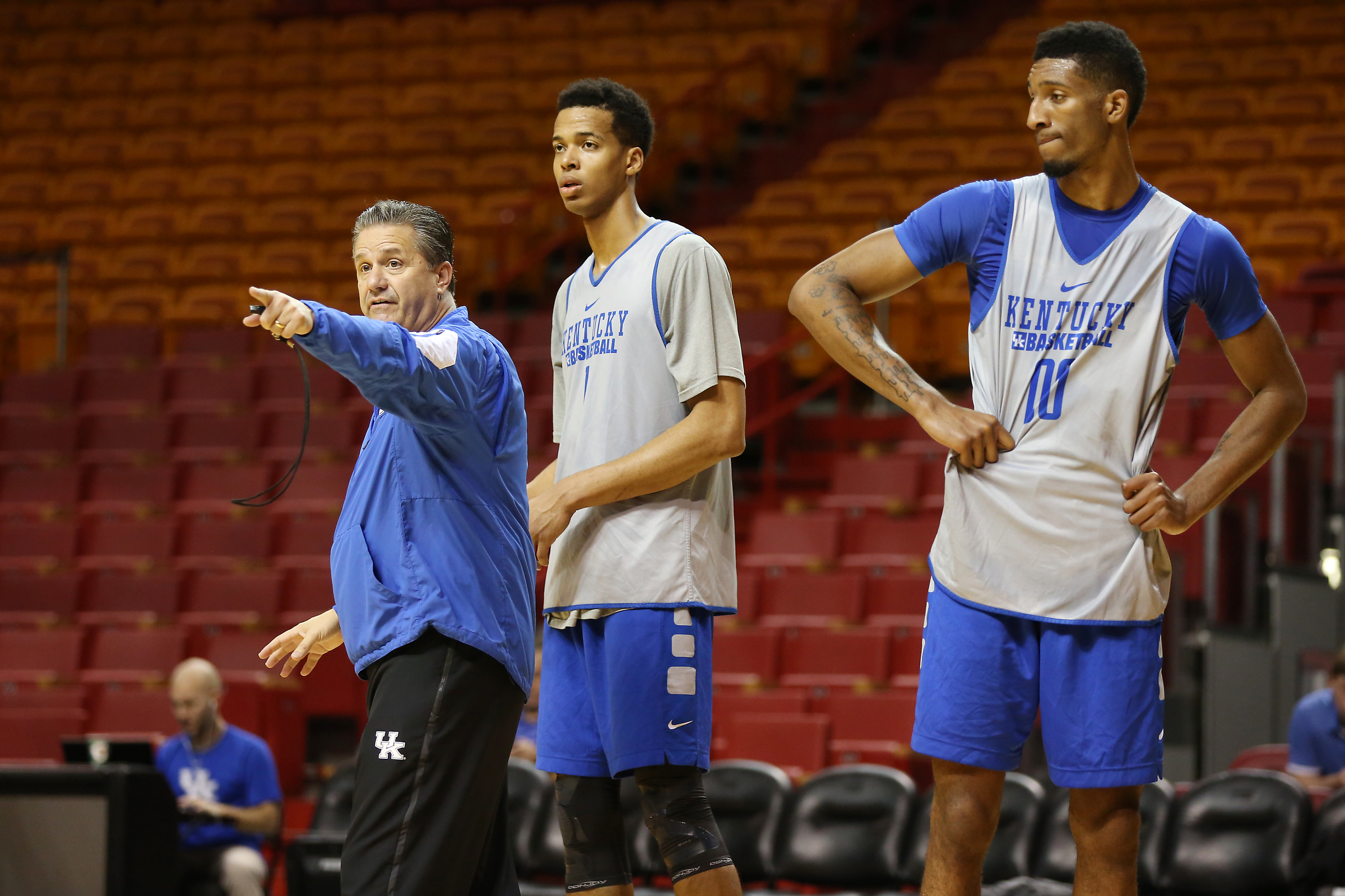 Cats in Miami: Thanksgiving Practice