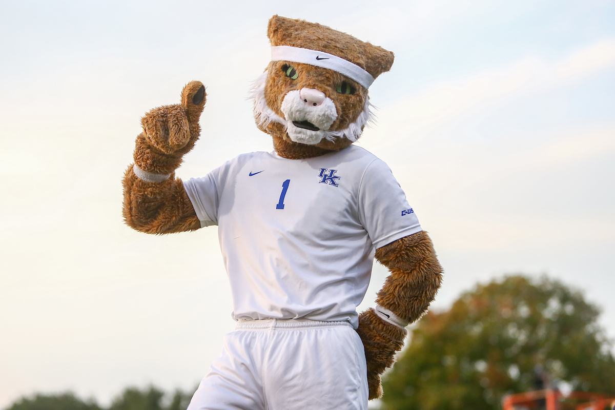 The Wildcat.

Kentucky loses to LSU 0 - 1.

Photo by Sarah Caputi | UK Athletics