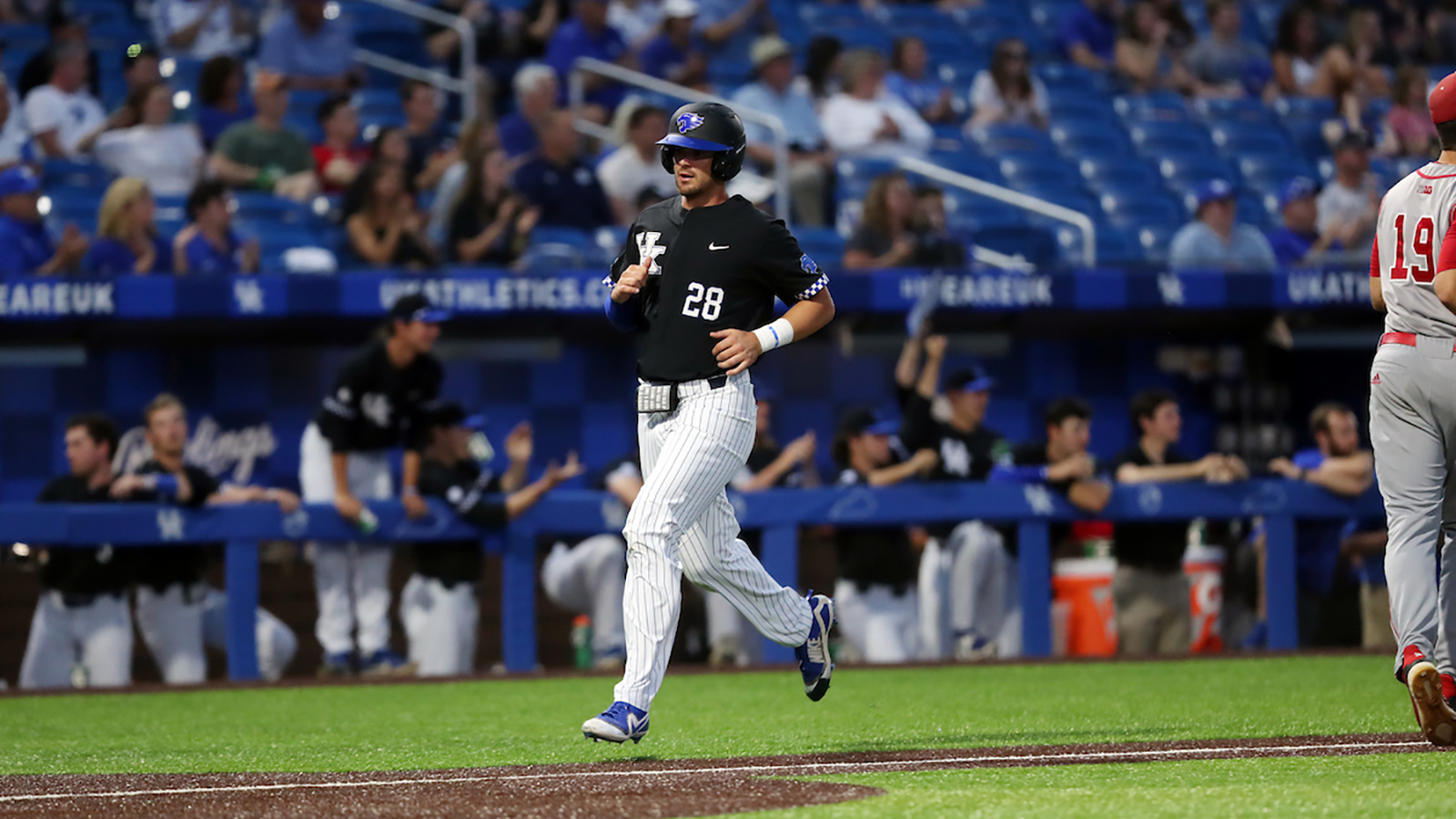 Baseball Cats Face South Carolina in Crucial SEC Series