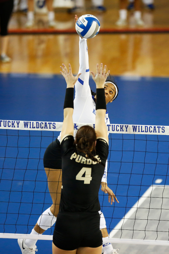 Caitlyn Cooper

UK volleyball beats Purdue in the second round of the NCAA Tournament.  

Photo by Meghan Baumhardt  | UK Athletics