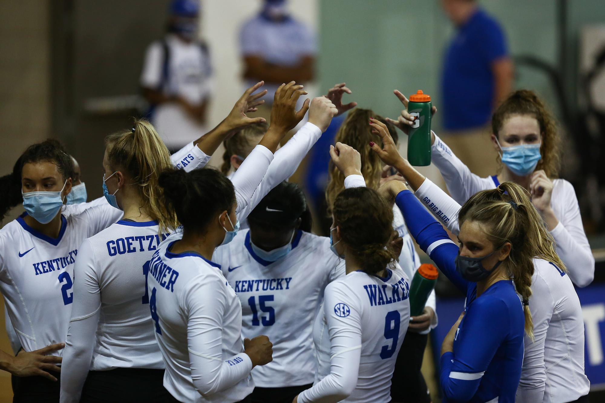 Kentucky Volleyball to Live Stream Blue/White Match Friday