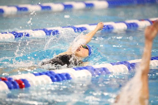 Asia Seidt.

UK Women's Swimming & Diving in action at the 2019 NCAA Championships.

Photo by Noah J. Richter | UK Athletics