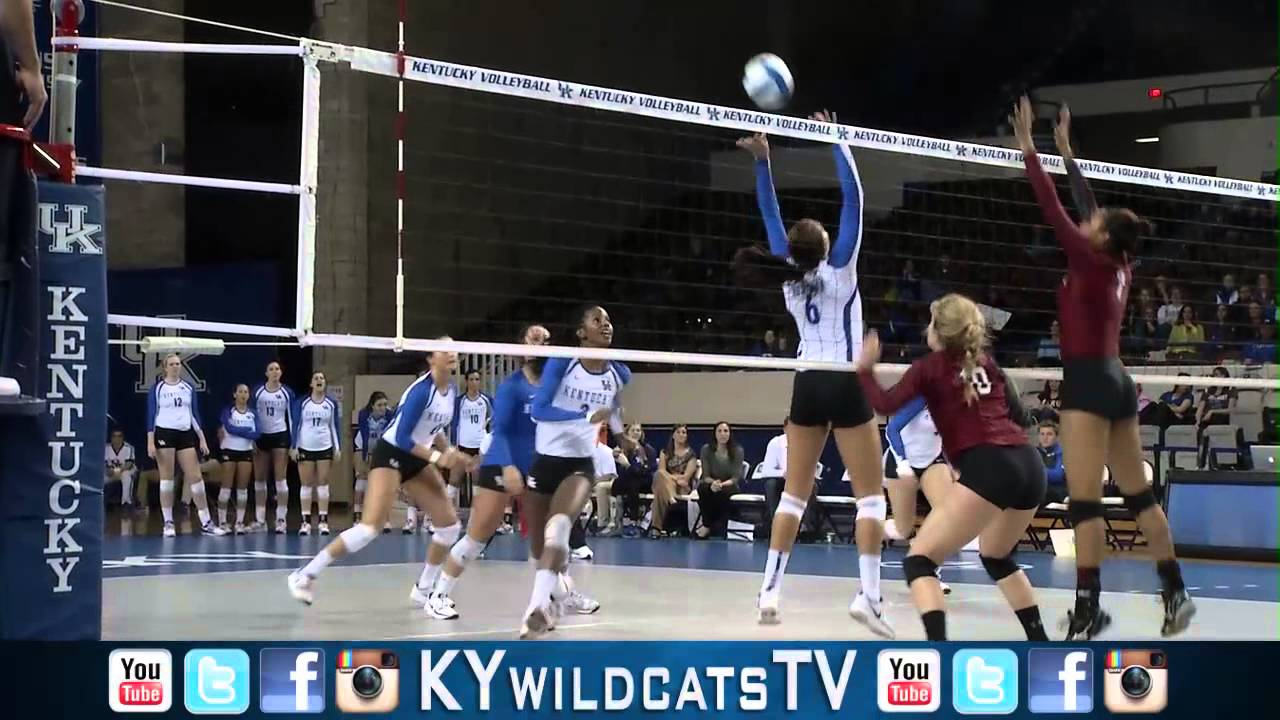 Kentucky Wildcats TV: Volleyball South Carolina 3-0 Highlights