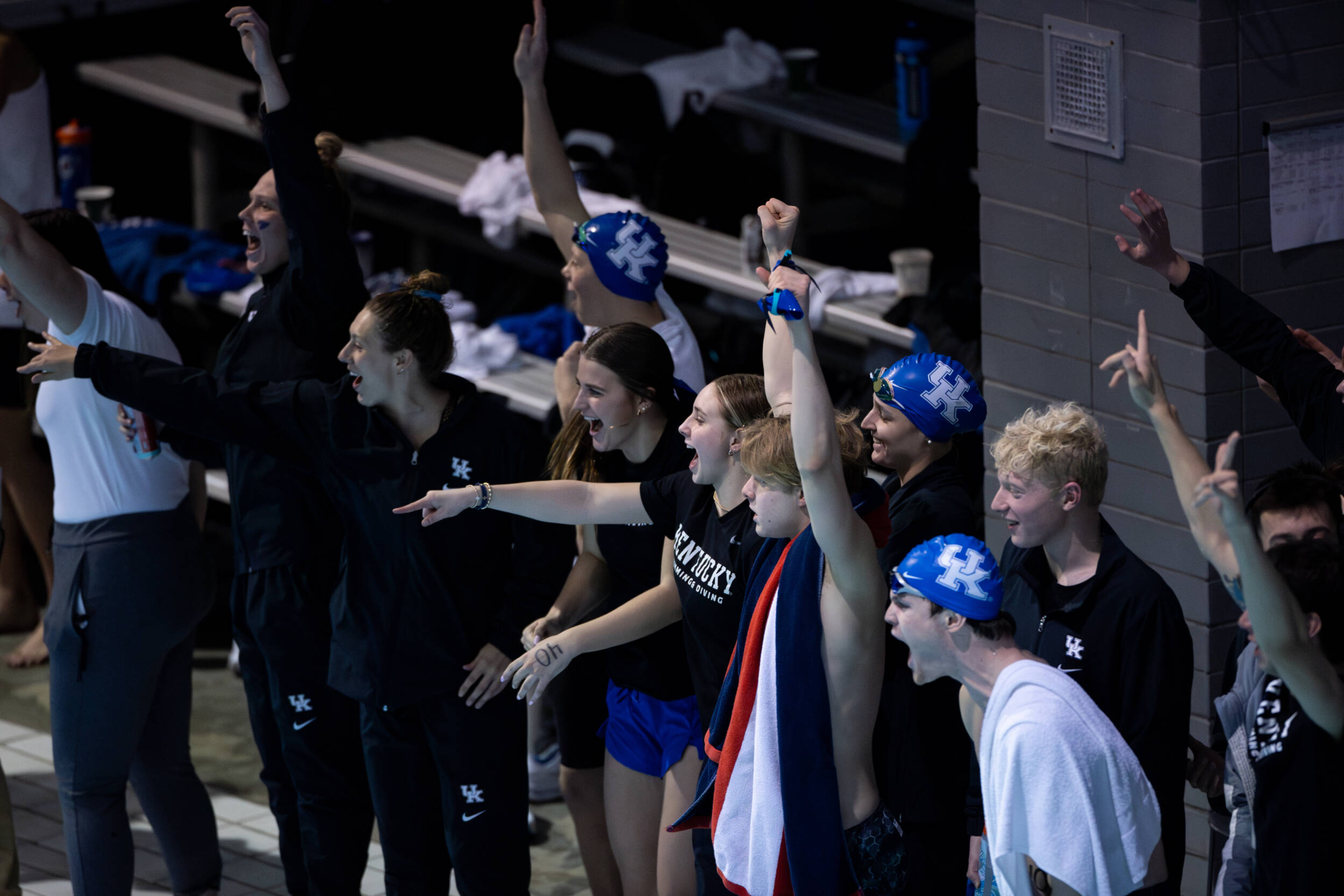 Swimming & Diving Readies for Annual Dual vs. Louisville