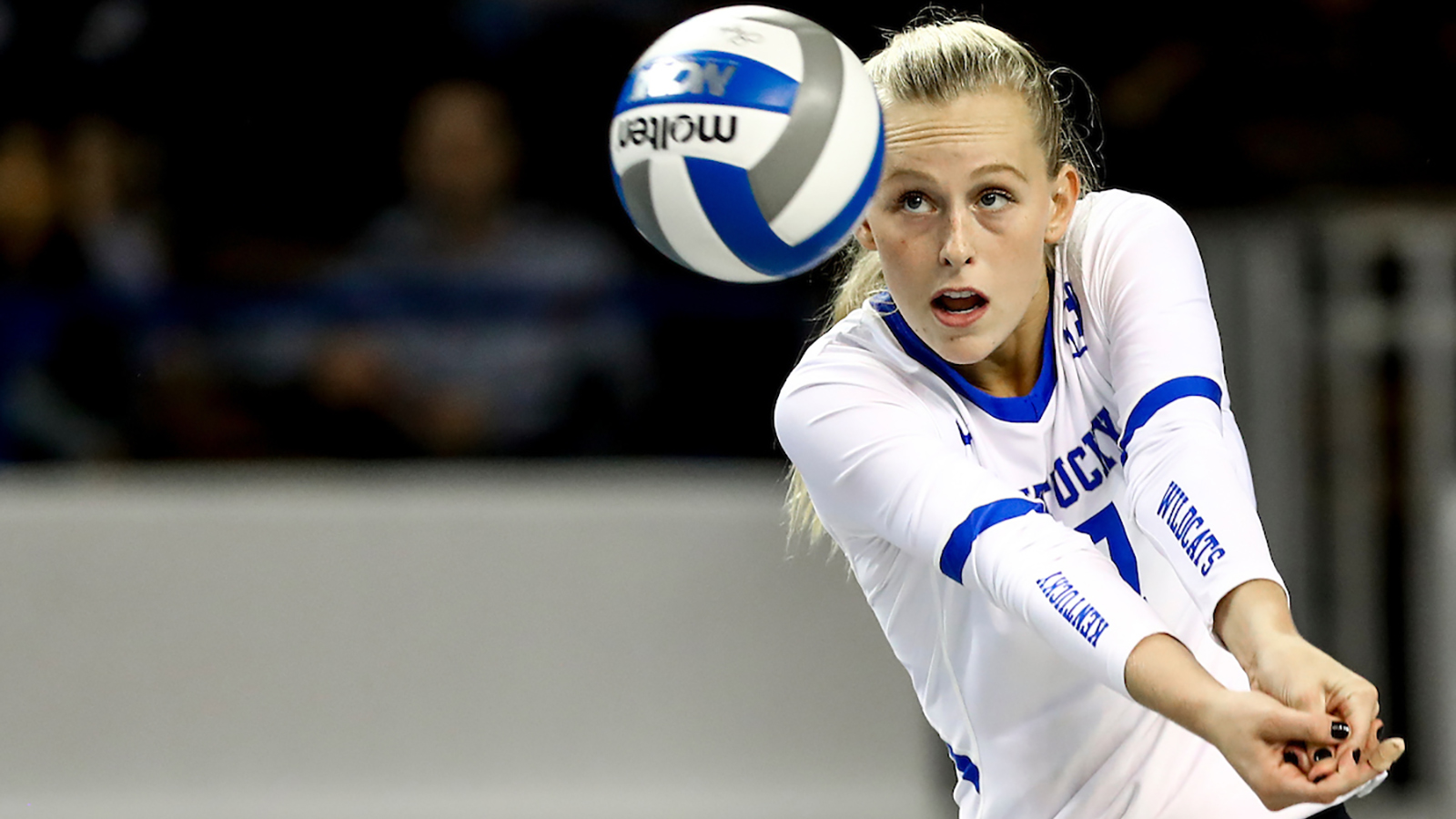 Volleyball Cats Preparing for Purdue, Quick Turnaround
