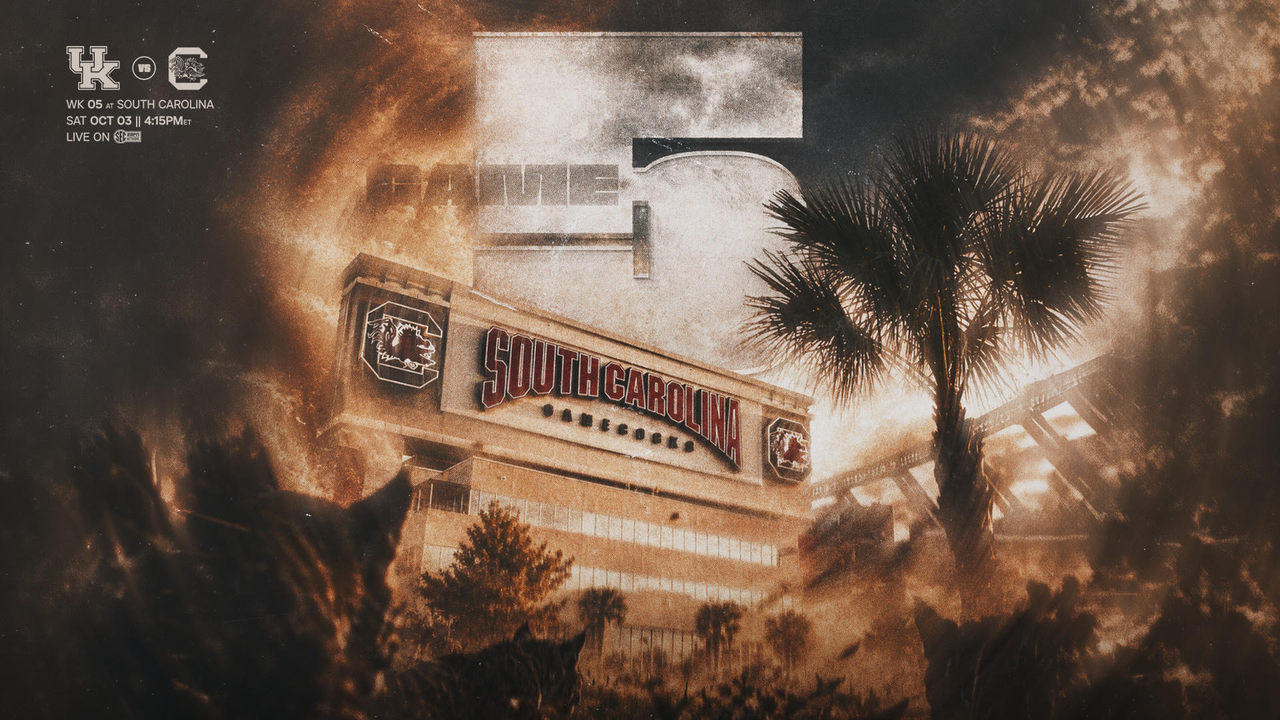 An image of Williams-Brice Stadium